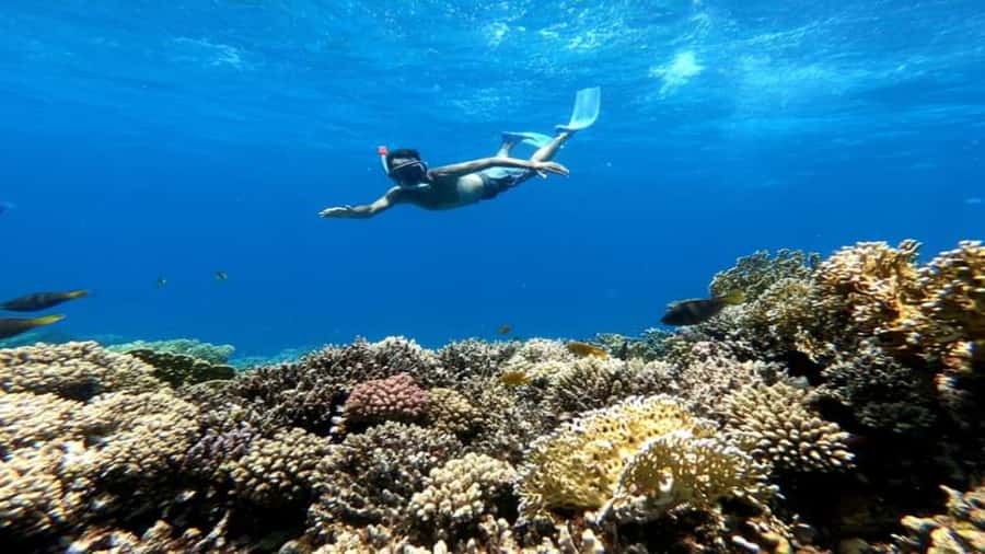 Hurghada: Snorkeling 6 x 1 to Orange Bay w Diving & Massage - What makes this Hurghada boat day worth considering