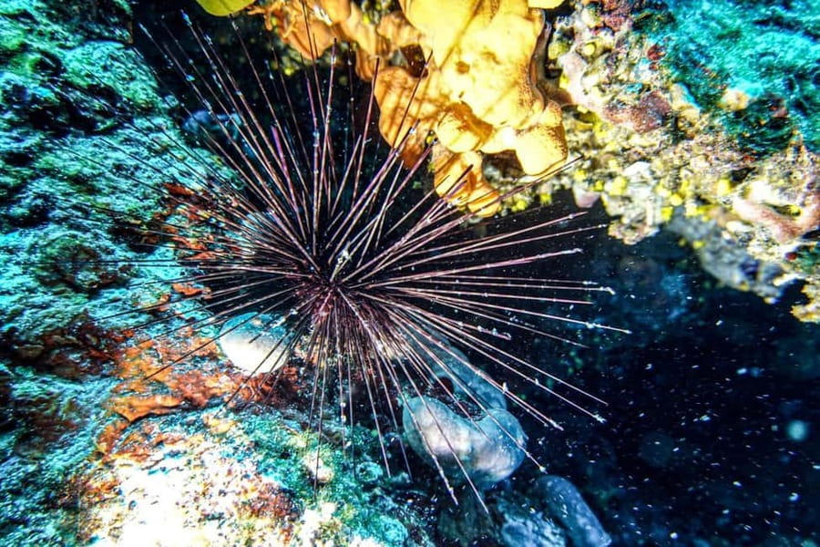 Hvar: Try Dive/Discover Scuba Diving Program - Getting comfortable with the equipment