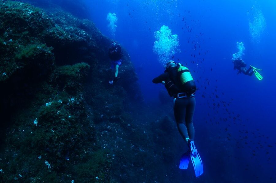 Ibiza: 3.5-Day PADI Open Water Dive Course - Learning the basics before you enter the sea
