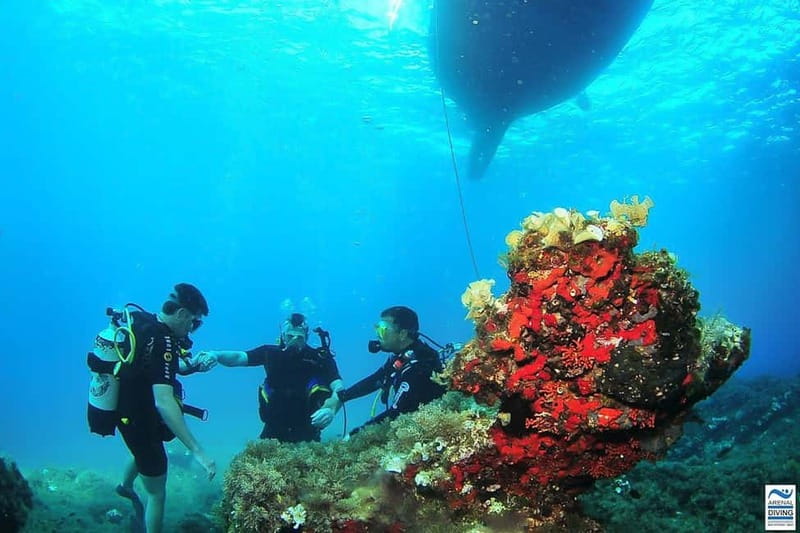 Ibiza: PADI Discover Scuba Diving & Snorkeling Boat Trip - Key things to know before booking