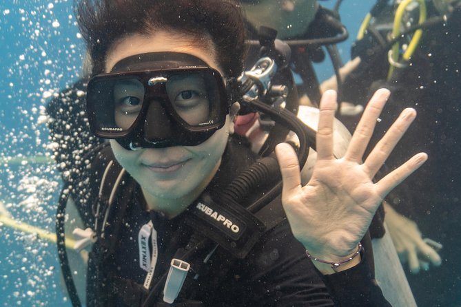 Incredibly Fun Coral Reef Giant Sea Turtles 4hour Boat Scuba Tour - What this Oahu boat outing really offers