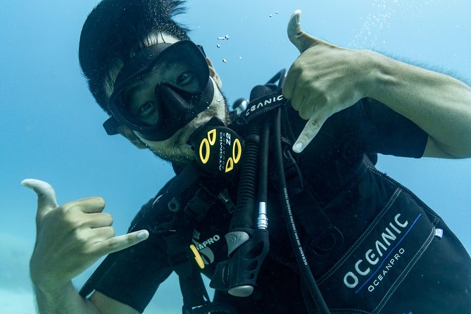 Incredibly Fun Coral Reef Giant Sea Turtles 4hour Boat Scuba Tour - Starting at Waikiki Dive Center