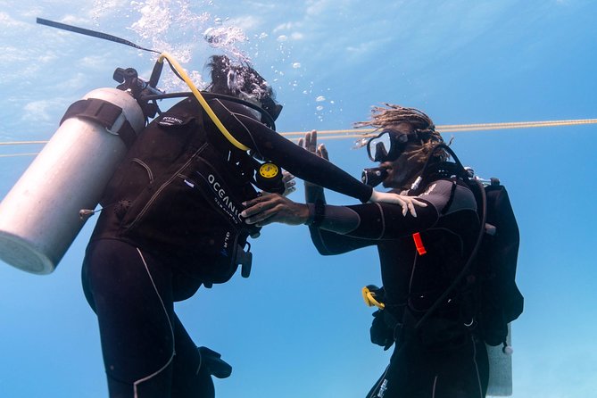 Incredibly Fun Coral Reef Giant Sea Turtles 4hour Boat Scuba Tour - What the listed stops mean