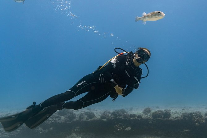 Incredibly Fun Coral Reef Giant Sea Turtles 4hour Boat Scuba Tour - The boat ride and group setup