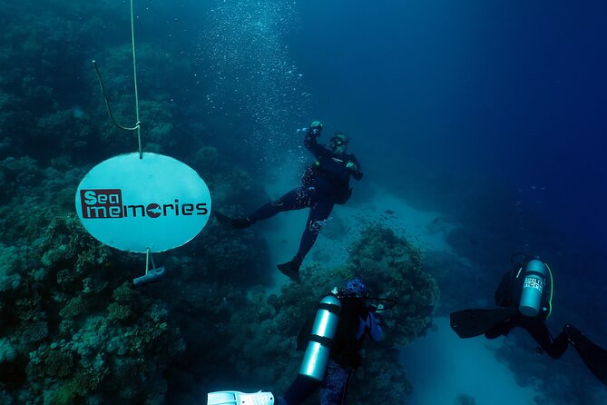 Intro Diving 2 Stops For Beginners with Pick-up and Lunch - Hurghada - What the two underwater stops are really like