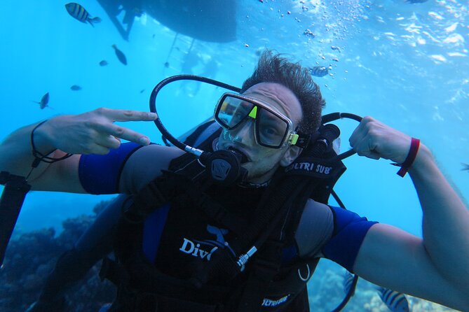 Intro Diving 2 Stops For Beginners with Pick-up and Lunch - Hurghada - The boat day between the sessions