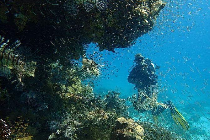 Intro Diving 2 Stops For Beginners with Pick-up and Lunch - Hurghada - Lunch, drinks, and what is included