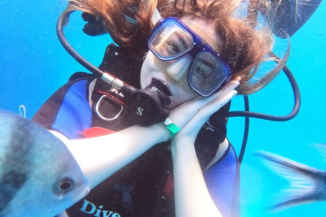 Intro Diving Beginner and Discover Red Sea Underwater - What your morning looks like at 8:00 AM