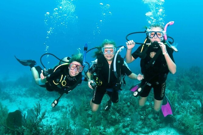 Intro Diving for Beginners 2 Stops Diving with Lunch - Hurghada - Leaving Hurghada and reaching the boat