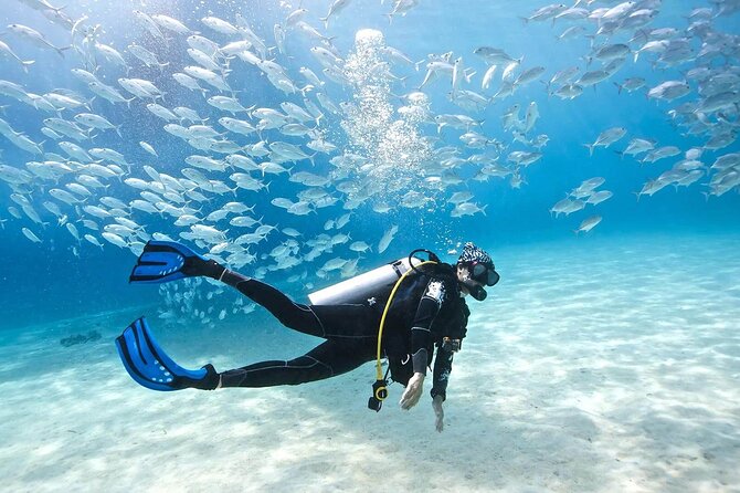 Intro Diving for Beginners 2 Stops Diving with Lunch - Hurghada - Equipment, instruction, and comfort