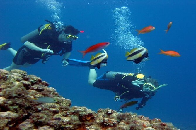 Intro Diving for Beginners 2 Stops Diving with Lunch - Hurghada - Is $22 a good value?