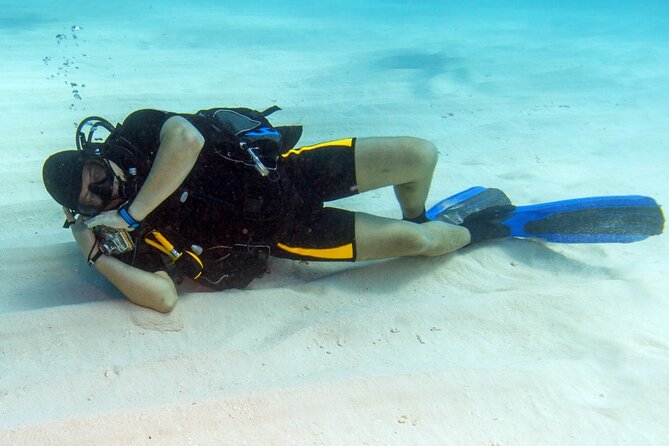 Intro Diving for Beginners 2 Stops Diving with Lunch - Hurghada - The first underwater session