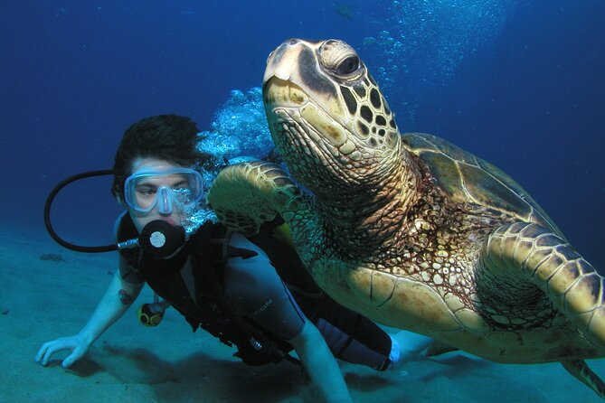 Intro/Refresher Dive Swim Ability Required - What the two-hour Maui session is really like