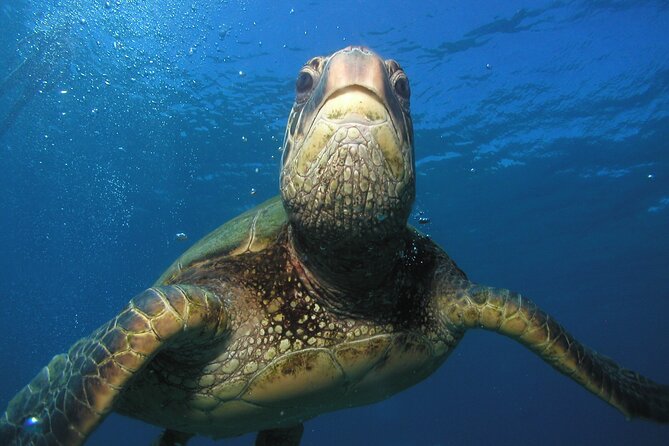 Intro/Refresher Dive Swim Ability Required - Health rules and the 12-hour altitude limit