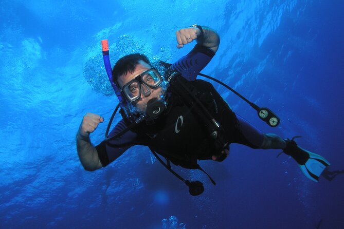 Intro/Refresher Dive Swim Ability Required - Is $239 a fair price?
