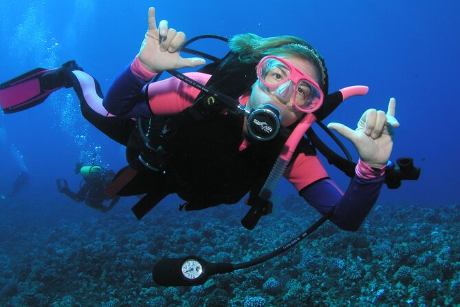 Intro/Refresher Dive Swim Ability Required - Learning the basics before entering the water