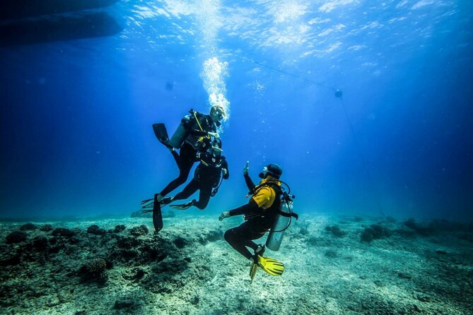 Intro Scuba Diving: 2 Dive Stops With Lunch & transfer - Hurghada - Starting with an 8:00 am hotel pickup
