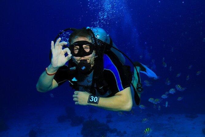Intro Scuba Diving: 2 Dive Stops With Lunch & transfer - Hurghada - What the two underwater stops add