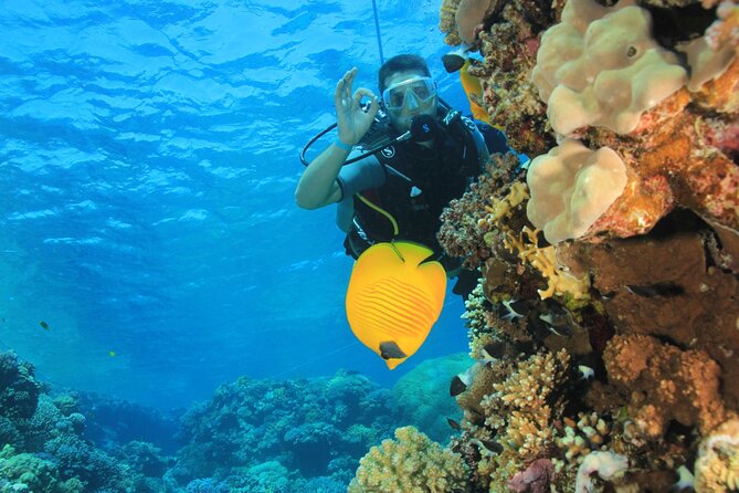 Intro Scuba Diving: 2 Dive Stops With Lunch & transfer - Hurghada - Who will get the most from this Hurghada outing?