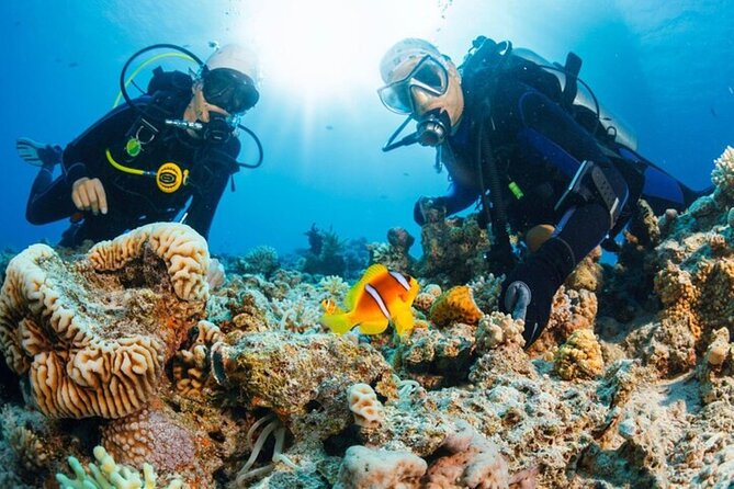 Intro Scuba Diving: 2 Dive Stops With Lunch & transfer - Hurghada - Booking, cancellation, and small practical checks