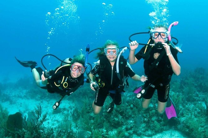 Intro Scuba Diving Beginners Full Day Boat Trip 2 Stops Diving & Lunch– Hurghada - The early pickup and ride to the marina