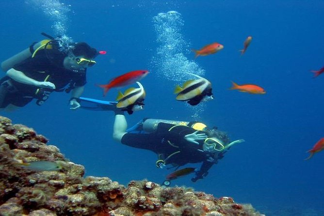 Intro Scuba Diving Beginners Full Day Boat Trip 2 Stops Diving & Lunch– Hurghada - Stop two: more confidence, not necessarily a better reef
