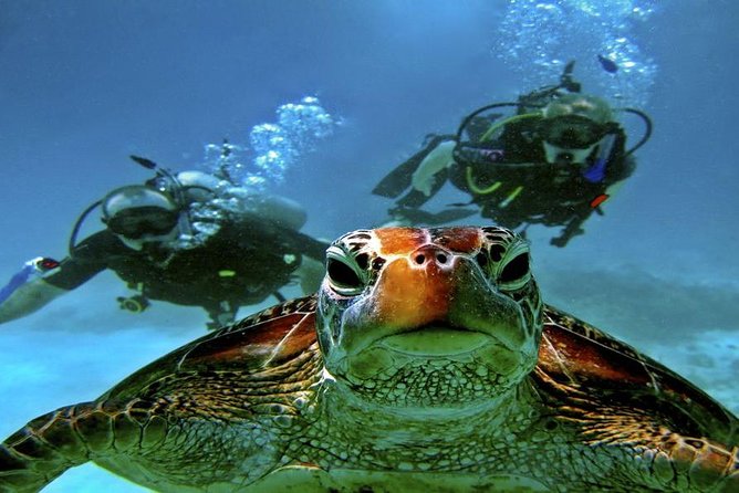 Intro Scuba Diving Beginners Full Day Boat Trip 2 Stops Diving & Lunch– Hurghada - How the group size affects your day