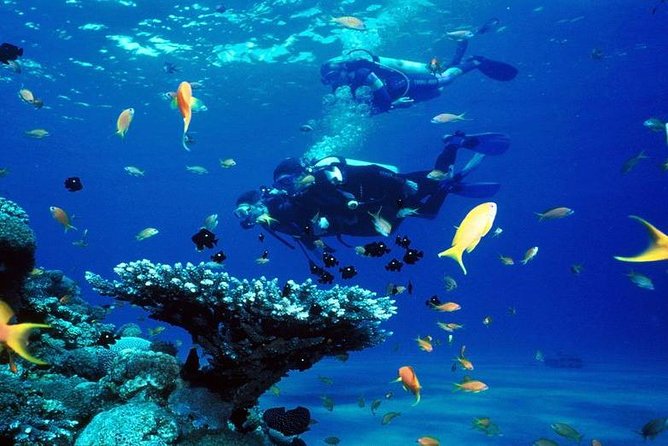 Intro Scuba Diving Beginners Full Day Boat Trip 2 Stops Diving & Lunch– Hurghada - Who should book this experience