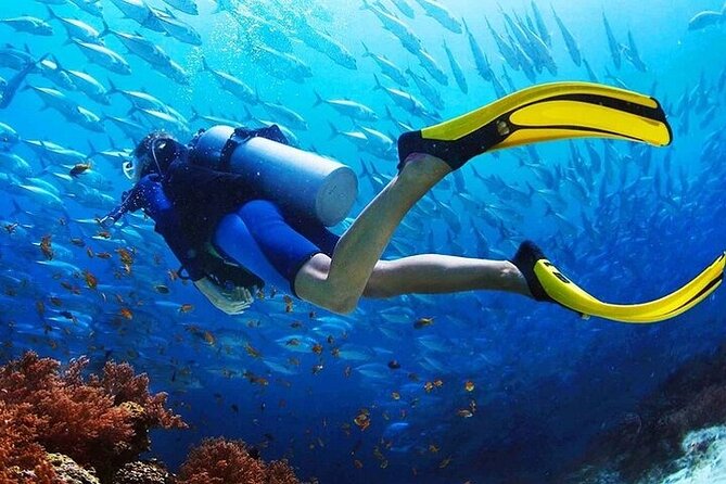 Intro Scuba Diving for beginners With (Lunch,Transfer) – Hurghada - Lunch, snorkeling, and a break between sessions