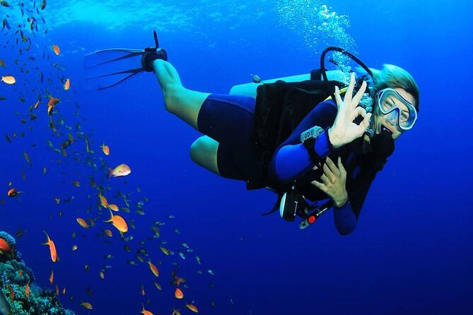 Intro Scuba Diving for beginners With (Lunch,Transfer) – Hurghada - The second session brings a fresh start