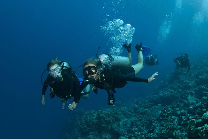 Intro Scuba Diving for beginners With (Lunch,Transfer) – Hurghada - What the $20 price really includes