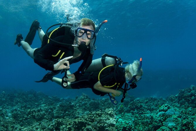 Intro Scuba Diving for beginners With (Lunch,Transfer) – Hurghada - Group size, comfort, and the real pace of the day