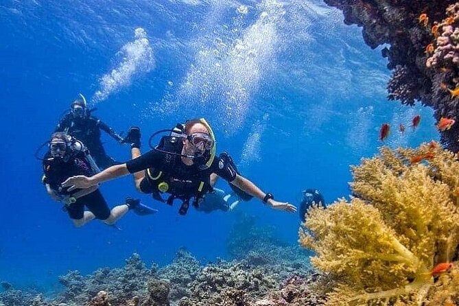 Intro Scuba Diving for beginners With (Lunch,Transfer) – Hurghada - Who should book this Hurghada experience?