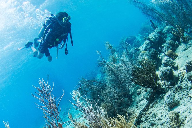 Introduction Shore Dive with Scubaçao (1 dive) - What your three-and-a-half hours in Curaçao look like