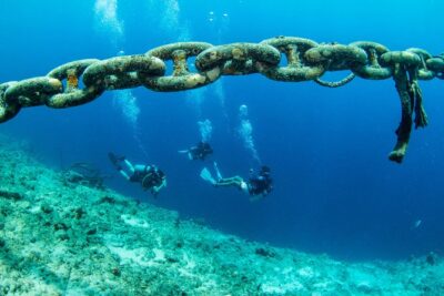 Introduction Shore Dive with Scubaçao (1 dive)