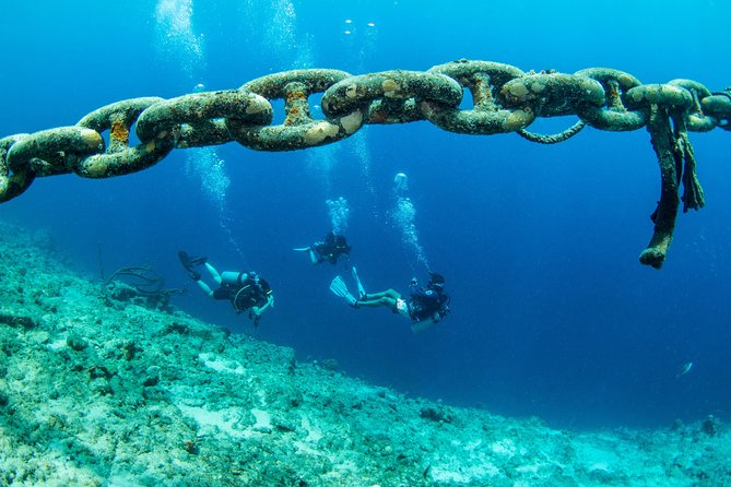 Introduction Shore Dive with Scubaçao (1 dive) - Learning the basics before entering the reef