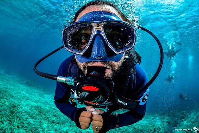 Introduction Shore Dive with Scubaçao (2 dives) - Key points to know before booking