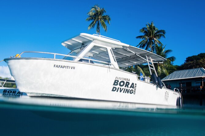 Introductory Dive in Bora Bora (afternoon) - Practical Tips for a Better Session