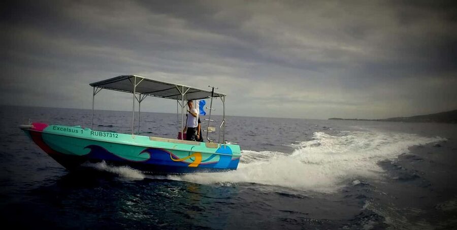 Introductory dive, to get started! - Should you book it?