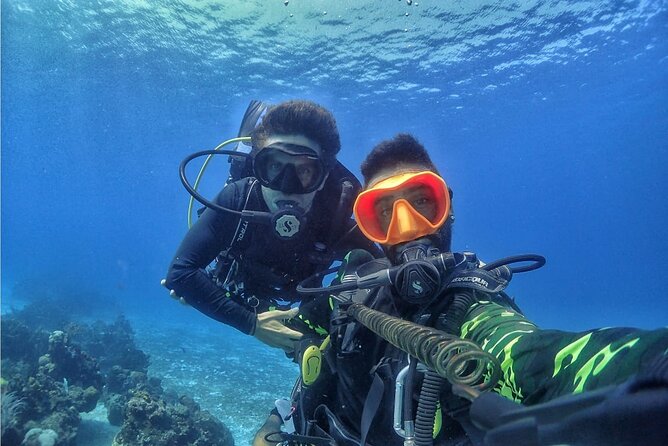 Introductory Diving Class in the Cozumel Reefs - A gentle first step into Cozumel scuba