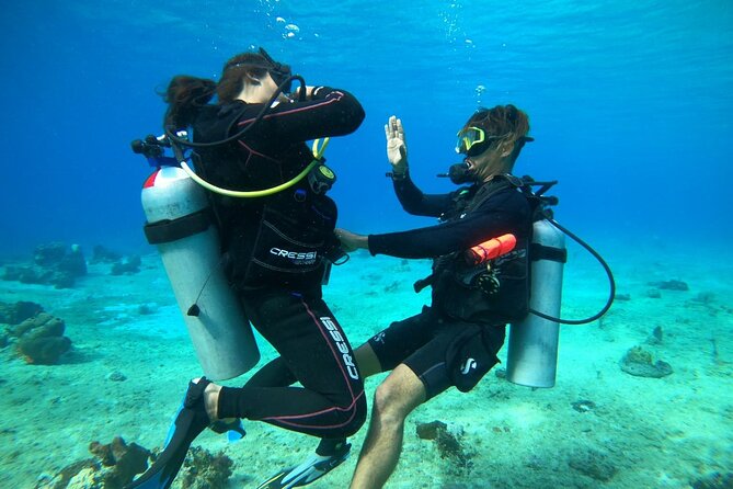 Introductory Diving Class in the Cozumel Reefs - Practicing at 1 to 2 meters