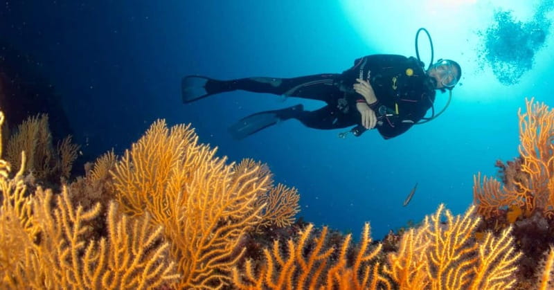 Introductory scuba diving - Equipment, insurance, and the optional video