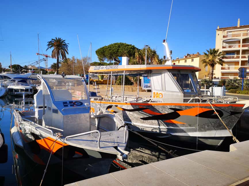 Introductory scuba diving - Is $171 a fair price for this sea outing?