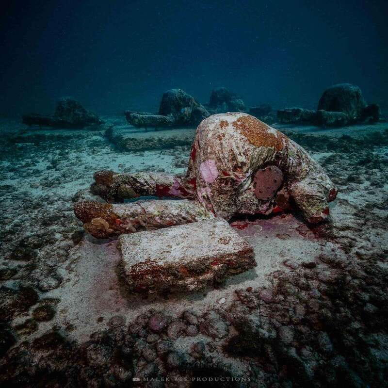 Isla Mujeres: MUSA and the Manchones Reef: 2 Tank Dive Tour - Key points to know before booking