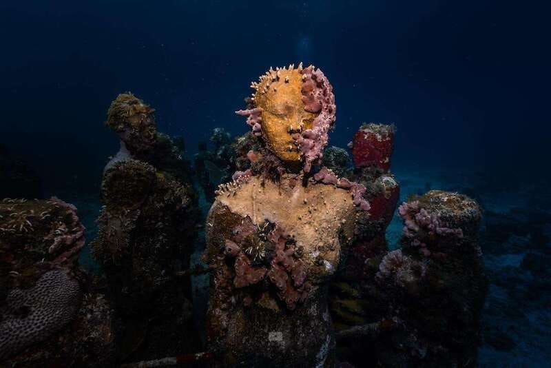 Isla Mujeres: MUSA and the Manchones Reef: 2 Tank Dive Tour - Why MUSA makes this outing different