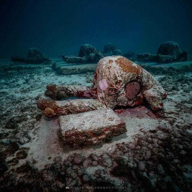 Isla Mujeres: MUSA and the Manchones Reef: 2 Tank Dive Tour - The second session at Manchones Reef
