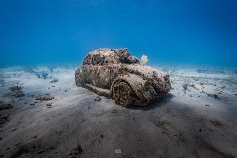 Isla Mujeres: MUSA and the Manchones Reef: 2 Tank Dive Tour - Practical preparation for a better morning