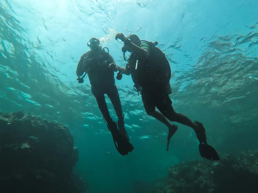 Jeddah: Red sea shore diving (Discovery) - Key points to know before you book