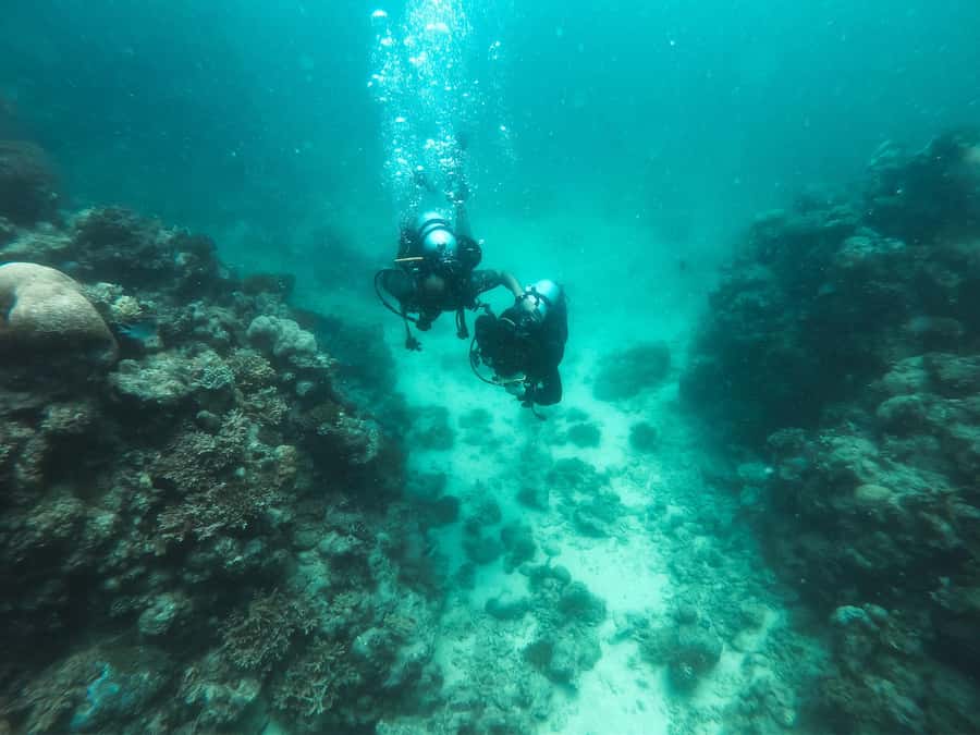 Jeddah: Red sea shore diving (Discovery) - What the 210-minute Red Sea outing is really like