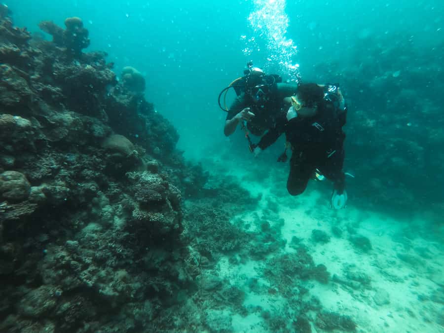 Jeddah: Red sea shore diving (Discovery) - Learning the equipment and underwater signals